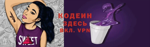 хмурый Абаза