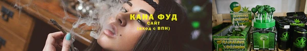 хмурый Абаза