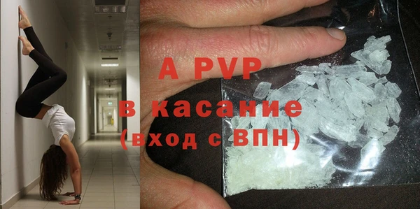 хмурый Абаза