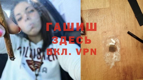 хмурый Абаза